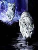 /album/secret-singing-wolves/white-wolf-anime-jpg/
